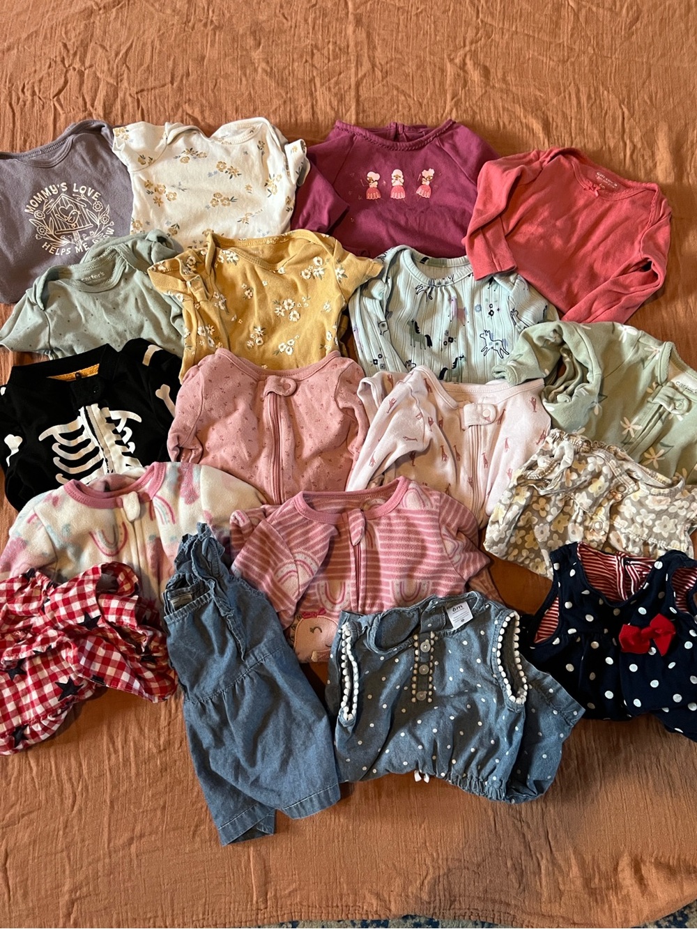 Mixed Infant Girl 6 Month 16 piece Lot
